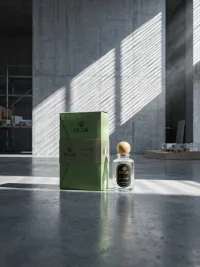 Gravity with box